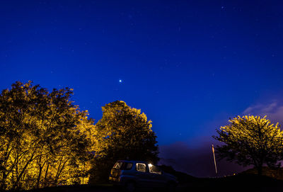 Trees against sky at night