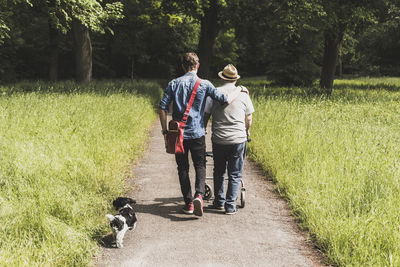 Back view of grandfather walking with grandson and dog in nature