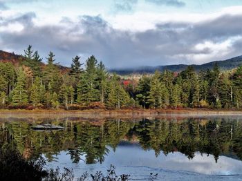 Scenic view of lake by trees against sky