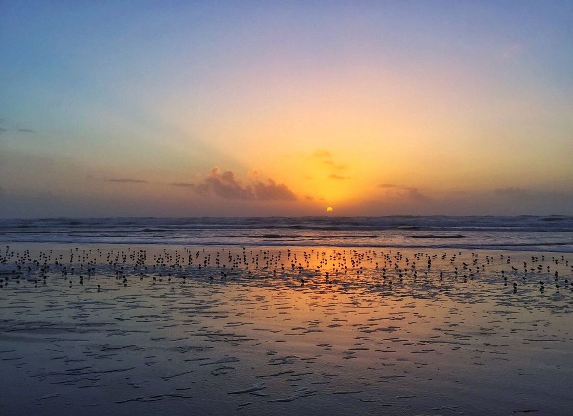 sea, horizon over water, beach, water, sunset, tranquil scene, scenics, tranquility, sky, shore, beauty in nature, sand, nature, idyllic, orange color, calm, remote, cloud, outdoors, coastline