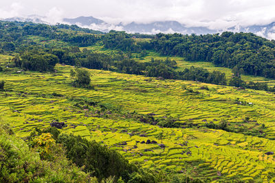 High angle view of trees on field against sky