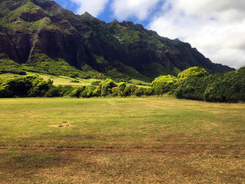 Scenic view of field and mountains against sky