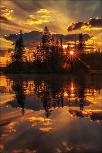 Reflection of trees in city at sunset