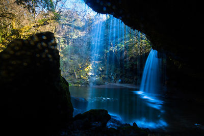 Scenic view of waterfall in forest