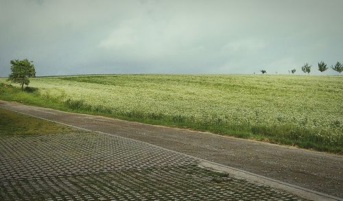 Scenic view of field against cloudy sky