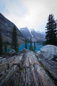 Scenic view of snow covered mountains