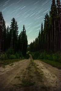 Dirt road amidst trees in forest against sky at night