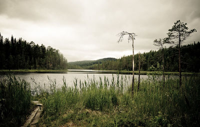 Scenic view of lake against sky