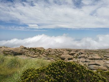 Scenic view of landscape against sky