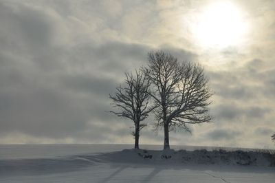 Bare trees on landscape against cloudy sky