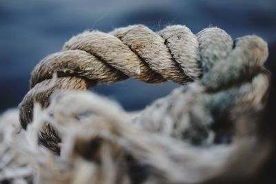 Close-up of rope tied to wood