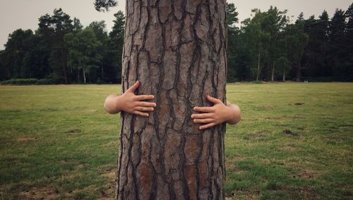 Man hugging tree trunk on field