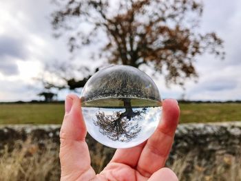 Close-up of hand holding crystal ball against trees on field