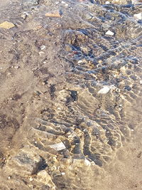 High angle view of rock on beach