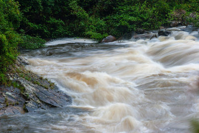 Scenic view of waterfall in forest