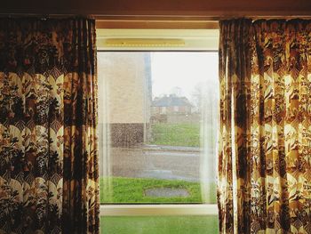 Trees seen through window