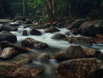 Stream flowing through rocks in forest