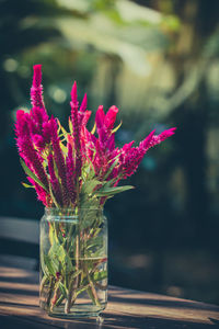 Glass vases and flowers of various colors in a vintage style. part of the home decor.