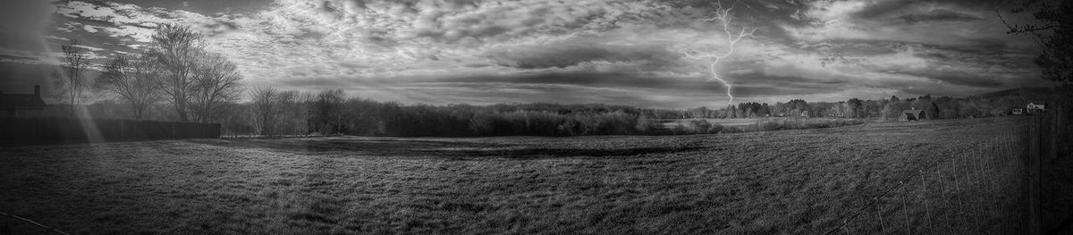 Trees on landscape against cloudy sky