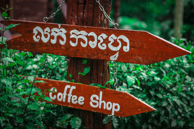 Close-up of signboard against trees