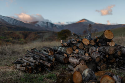 Firewood lies on the grass against the backdrop of mountains