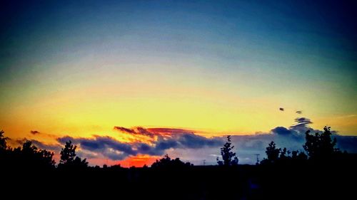 Silhouette trees against sky during sunset