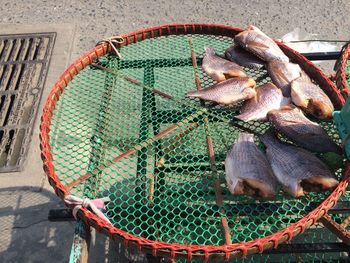 High angle view of fish for sale in market