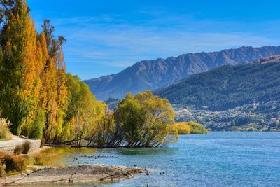 Lake wakatipu