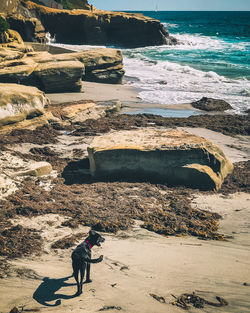 Rear view of woman standing on beach