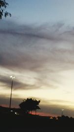 Silhouette of trees against cloudy sky