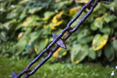 Close-up of chain hanging on metal