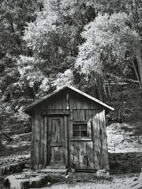 Abandoned built structure in forest