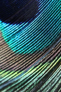 Full frame shot of multi colored umbrella