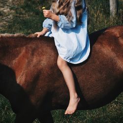 Low section of woman sitting on horse at field