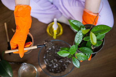 Mix the soil for indoor flowers, pour soil into the pot