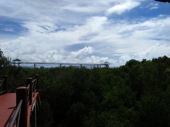 Plants and trees against sky