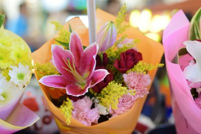 Close-up of pink flowering plant