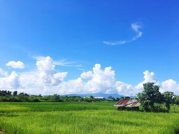 Scenic view of field against sky
