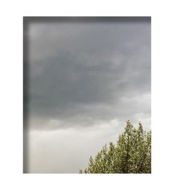 Low angle view of trees against sky