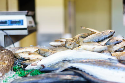 Close-up of fish at jessie taylor seafood market