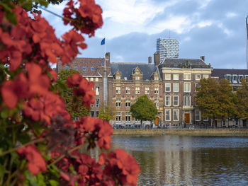 Info office council of europe european parliament, van de koning.a famous tourist area.