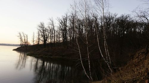 Reflection of trees in lake