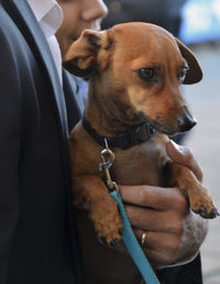 Midsection of man holding dog