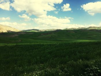 Scenic view of field against sky