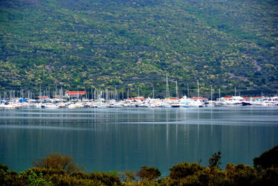 Boats moored in sea