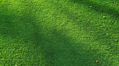 High angle view of soccer field