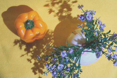 High angle view of purple flowering plant on yellow table