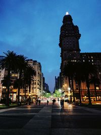 Trees in city at night