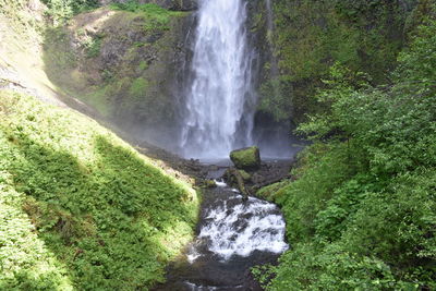 High angle view of waterfall in forest