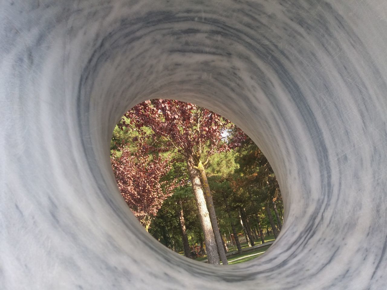 LOW ANGLE VIEW OF TREES AND TUNNEL